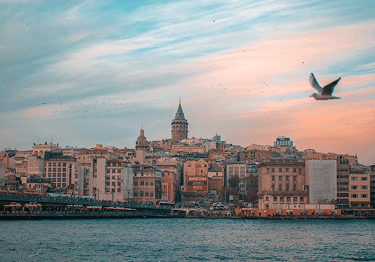 category-header