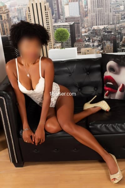 Profile Gallery