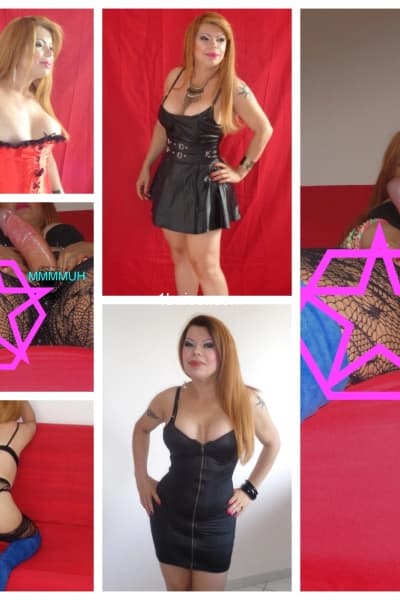 Profile Gallery